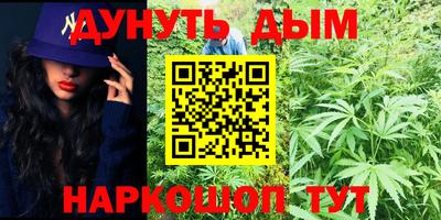 дживик Камышлов